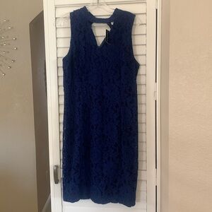 White House Black Market navy blue dress. Size 10